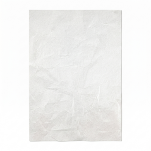 Bolsa 1/2Kilo Opaca